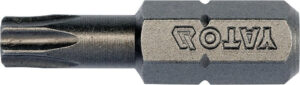 Bit torx T25 x 1/4”