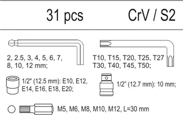 torx T10-T50