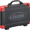 61 ks Vigor - V2305N