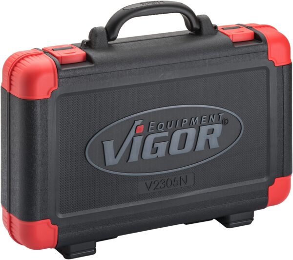 61 ks Vigor - V2305N