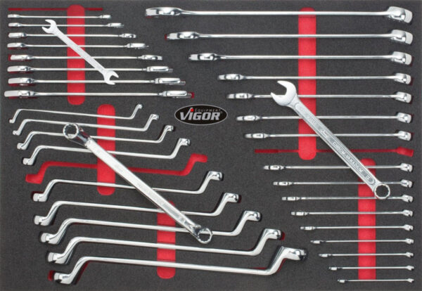 VIGOR 1000 - V5055