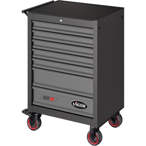 VIGOR 500N