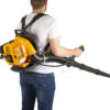 Fukar na listí, benzínový, 900 W - HTG840702