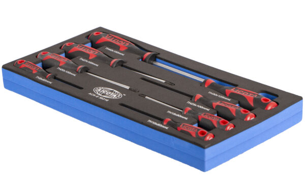 Torx