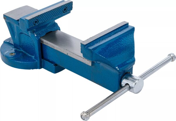 Paralelní svěrák BGS, 100 mm, 5 kg - B58260